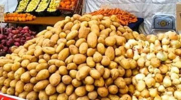 أسعار الخضراوات والفاكهة بكفر الشيخ الجمعة 8 مايو 2026 والطماطم تسجل 20 جنيها